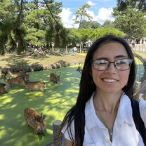 Me with the deers in Nara! They were really hot because of the weather so they didn't feel like being very social haha